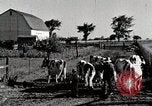 Immagine di Fattoria Michigan United States USA, 1941, secondo 23 filmato di repertorio 65675025813