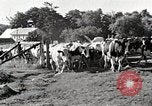 Immagine di Fattoria Michigan United States USA, 1941, secondo 24 filmato di repertorio 65675025813