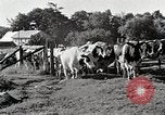 Immagine di Fattoria Michigan United States USA, 1941, secondo 25 filmato di repertorio 65675025813