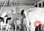 Immagine di Fattoria Michigan United States USA, 1941, secondo 41 filmato di repertorio 65675025813