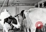 Immagine di Fattoria Michigan United States USA, 1941, secondo 42 filmato di repertorio 65675025813