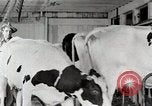 Immagine di Fattoria Michigan United States USA, 1941, secondo 43 filmato di repertorio 65675025813