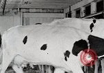 Immagine di Fattoria Michigan United States USA, 1941, secondo 44 filmato di repertorio 65675025813