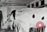 Immagine di Fattoria Michigan United States USA, 1941, secondo 45 filmato di repertorio 65675025813