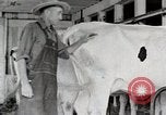 Immagine di Fattoria Michigan United States USA, 1941, secondo 47 filmato di repertorio 65675025813
