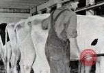Immagine di Fattoria Michigan United States USA, 1941, secondo 48 filmato di repertorio 65675025813