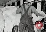 Immagine di Fattoria Michigan United States USA, 1941, secondo 49 filmato di repertorio 65675025813