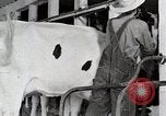 Immagine di Fattoria Michigan United States USA, 1941, secondo 50 filmato di repertorio 65675025813