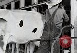 Immagine di Fattoria Michigan United States USA, 1941, secondo 51 filmato di repertorio 65675025813