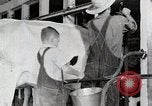 Immagine di Fattoria Michigan United States USA, 1941, secondo 52 filmato di repertorio 65675025813