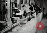 Immagine di Fattoria Michigan United States USA, 1941, secondo 53 filmato di repertorio 65675025813