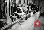 Immagine di Fattoria Michigan United States USA, 1941, secondo 54 filmato di repertorio 65675025813