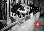 Immagine di Fattoria Michigan United States USA, 1941, secondo 55 filmato di repertorio 65675025813
