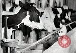 Immagine di Fattoria Michigan United States USA, 1941, secondo 56 filmato di repertorio 65675025813