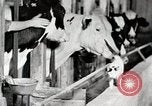 Immagine di Fattoria Michigan United States USA, 1941, secondo 57 filmato di repertorio 65675025813