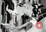 Immagine di Fattoria Michigan United States USA, 1941, secondo 58 filmato di repertorio 65675025813