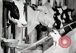 Immagine di Fattoria Michigan United States USA, 1941, secondo 59 filmato di repertorio 65675025813