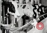 Immagine di Fattoria Michigan United States USA, 1941, secondo 60 filmato di repertorio 65675025813