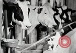 Immagine di Fattoria Michigan United States USA, 1941, secondo 61 filmato di repertorio 65675025813