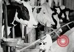 Immagine di Fattoria Michigan United States USA, 1941, secondo 62 filmato di repertorio 65675025813