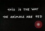 Immagine di Mangimi per animali Michigan United States USA, 1941, secondo 3 filmato di repertorio 65675025814