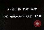 Immagine di Mangimi per animali Michigan United States USA, 1941, secondo 4 filmato di repertorio 65675025814