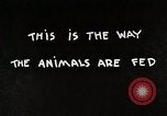 Immagine di Mangimi per animali Michigan United States USA, 1941, secondo 6 filmato di repertorio 65675025814