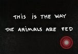 Immagine di Mangimi per animali Michigan United States USA, 1941, secondo 7 filmato di repertorio 65675025814