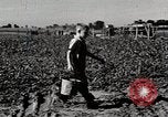 Immagine di Mangimi per animali Michigan United States USA, 1941, secondo 9 filmato di repertorio 65675025814