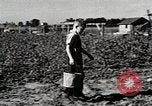 Immagine di Mangimi per animali Michigan United States USA, 1941, secondo 10 filmato di repertorio 65675025814