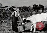 Immagine di Mangimi per animali Michigan United States USA, 1941, secondo 13 filmato di repertorio 65675025814