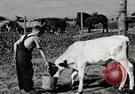 Immagine di Mangimi per animali Michigan United States USA, 1941, secondo 14 filmato di repertorio 65675025814