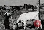 Immagine di Mangimi per animali Michigan United States USA, 1941, secondo 15 filmato di repertorio 65675025814