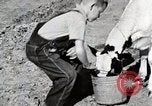 Immagine di Mangimi per animali Michigan United States USA, 1941, secondo 16 filmato di repertorio 65675025814
