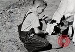 Immagine di Mangimi per animali Michigan United States USA, 1941, secondo 17 filmato di repertorio 65675025814