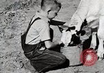 Immagine di Mangimi per animali Michigan United States USA, 1941, secondo 18 filmato di repertorio 65675025814