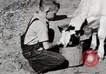 Immagine di Mangimi per animali Michigan United States USA, 1941, secondo 19 filmato di repertorio 65675025814