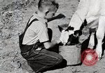 Immagine di Mangimi per animali Michigan United States USA, 1941, secondo 20 filmato di repertorio 65675025814