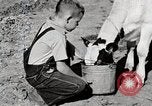 Immagine di Mangimi per animali Michigan United States USA, 1941, secondo 21 filmato di repertorio 65675025814