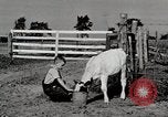 Immagine di Mangimi per animali Michigan United States USA, 1941, secondo 29 filmato di repertorio 65675025814