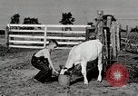 Immagine di Mangimi per animali Michigan United States USA, 1941, secondo 30 filmato di repertorio 65675025814