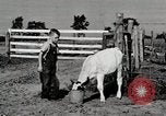 Immagine di Mangimi per animali Michigan United States USA, 1941, secondo 31 filmato di repertorio 65675025814