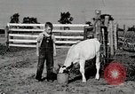 Immagine di Mangimi per animali Michigan United States USA, 1941, secondo 32 filmato di repertorio 65675025814