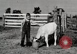 Immagine di Mangimi per animali Michigan United States USA, 1941, secondo 33 filmato di repertorio 65675025814