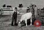 Immagine di Mangimi per animali Michigan United States USA, 1941, secondo 34 filmato di repertorio 65675025814
