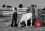 Immagine di Mangimi per animali Michigan United States USA, 1941, secondo 35 filmato di repertorio 65675025814