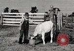 Immagine di Mangimi per animali Michigan United States USA, 1941, secondo 36 filmato di repertorio 65675025814