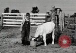Immagine di Mangimi per animali Michigan United States USA, 1941, secondo 37 filmato di repertorio 65675025814