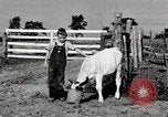 Immagine di Mangimi per animali Michigan United States USA, 1941, secondo 38 filmato di repertorio 65675025814