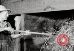 Immagine di Mangimi per animali Michigan United States USA, 1941, secondo 48 filmato di repertorio 65675025814